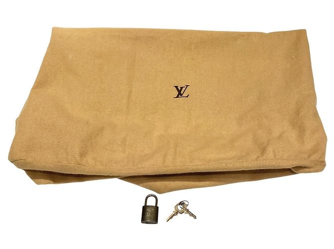 Borsa Boston Louis Vuitton Speedy 40 - vista 5