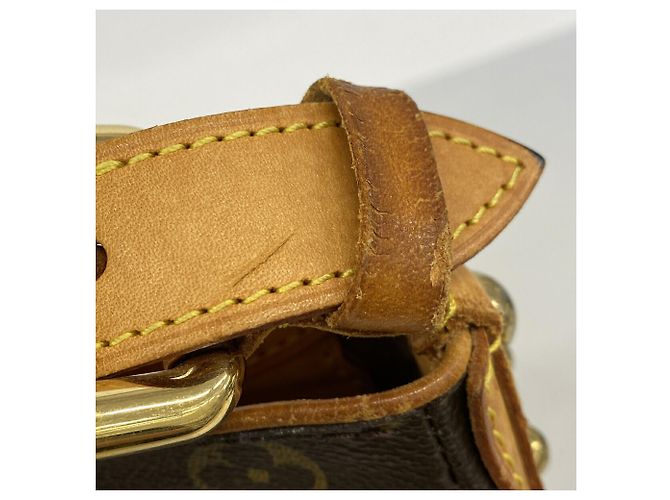 Borsa a tracolla Louis Vuitton Monogram Hudson GM - vista 10