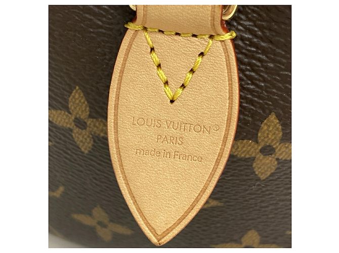 Borsa Louis Vuitton Monogram Speedy Bandoulière 20 - vista 5