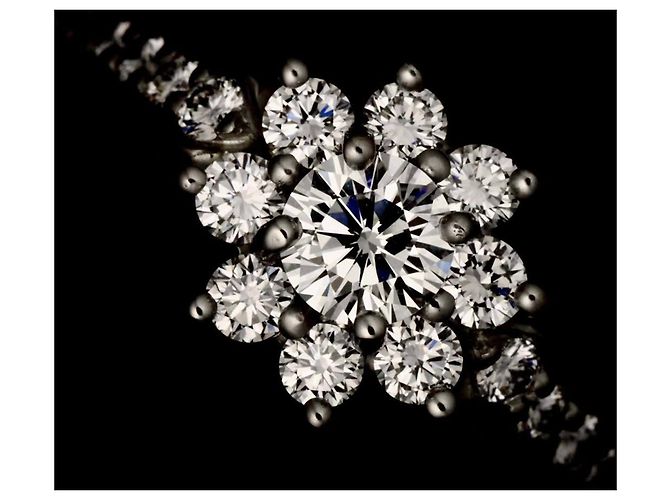 Autre Marque Anello Tiffany & Co. Flora Band - vista 6