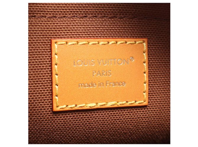 Borsa a tracolla Louis Vuitton Amazon Monogram - vista 4