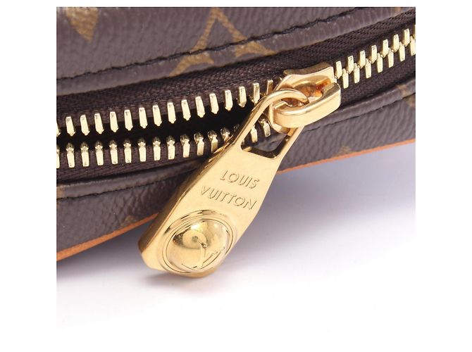 Borsa a tracolla Louis Vuitton Amazon Monogram - vista 5