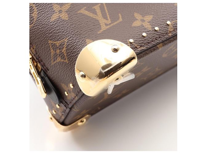 Borsa a mano 2-Way Louis Vuitton Alma Trunk BB - vista 5