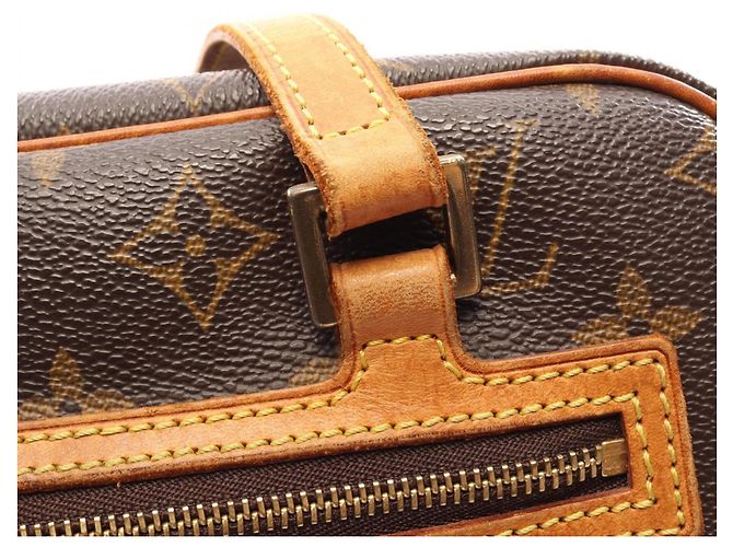 Cité Borsa a tracolla Louis Vuitton Cite MM Monogram - vista 15