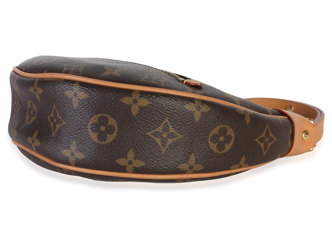 Louis Vuitton Monogram Canvas Loop - vista 6