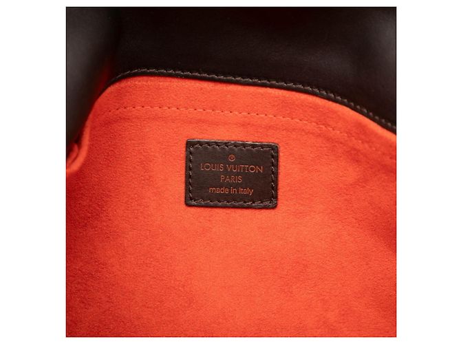 Borsa Louis Vuitton Damier Sauvage Lion - vista 5