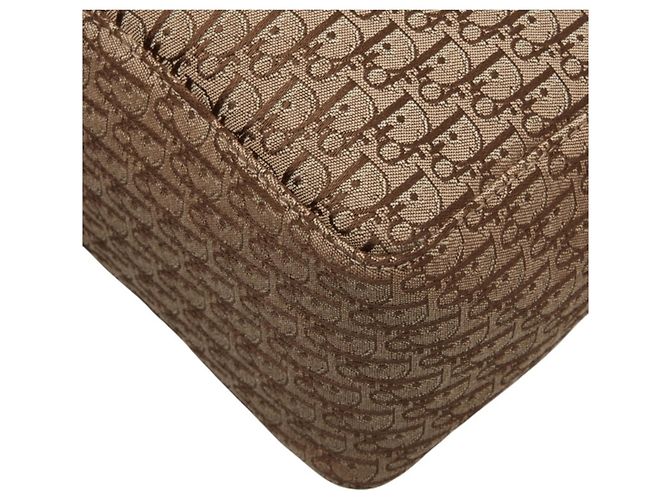 Borsa Tote Christian Dior Dior Trotter Oblique - vista 6