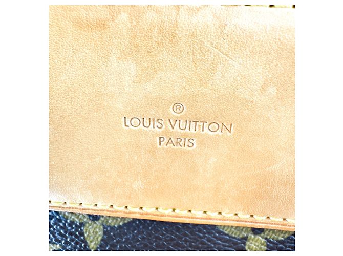 Louis Vuitton Bosphore Monogram Canvas - vista 6