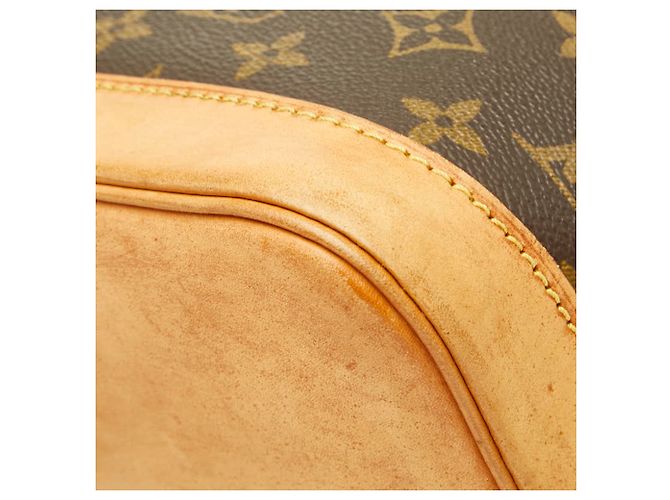 Borsa Louis Vuitton Monogram Alma PM - vista 4