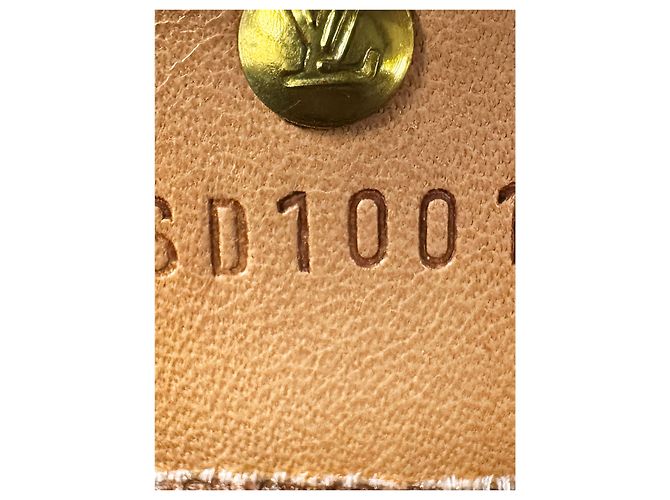 Louis Vuitton Brown Monogram Vavin PM - vista 7