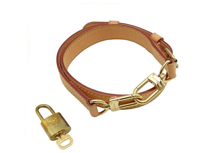 Louis Vuitton Brown Monogram Speedy Bandouliere 25 - vista 18