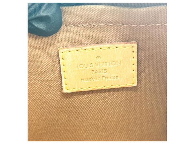 Louis Vuitton Thames Monogram Canvas PM - vista 6