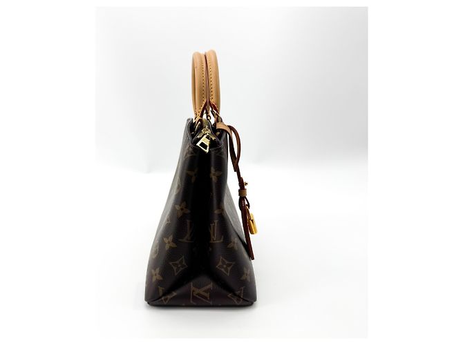 Louis Vuitton Petit Palais Monogram Canvas - vista 3