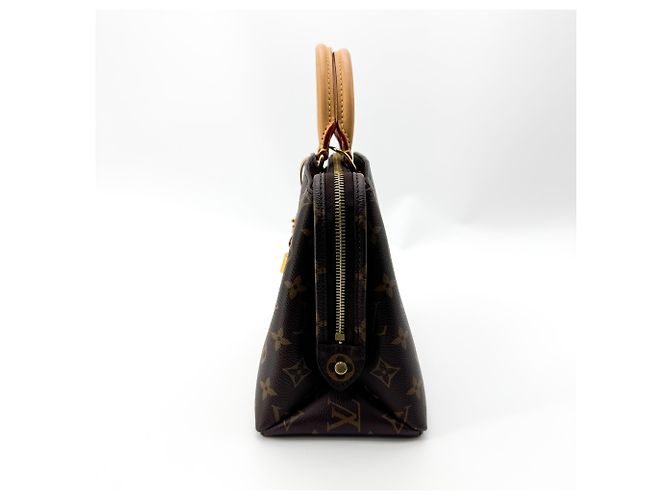 Louis Vuitton Petit Palais Monogram Canvas - vista 4