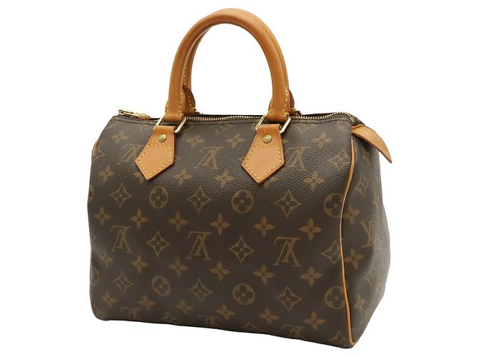 Borsa Louis Vuitton Monogram Speedy 25 - vista 3