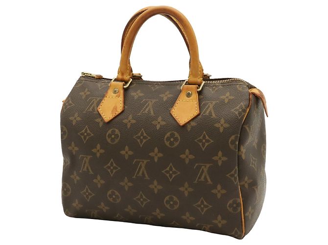 Borsa Louis Vuitton Monogram Speedy 25 - vista 3