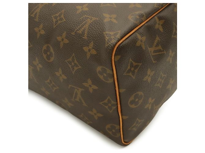 Borsa Louis Vuitton Monogram Speedy 25 - vista 4