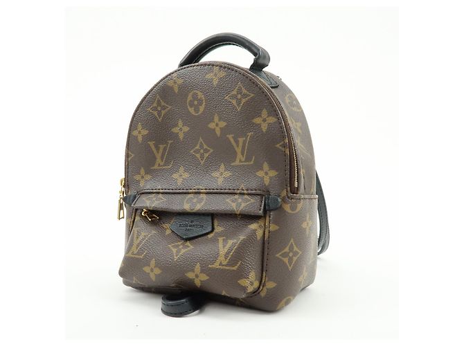 Louis Vuitton Palm Springs Monogram Canvas Mini - vista 3