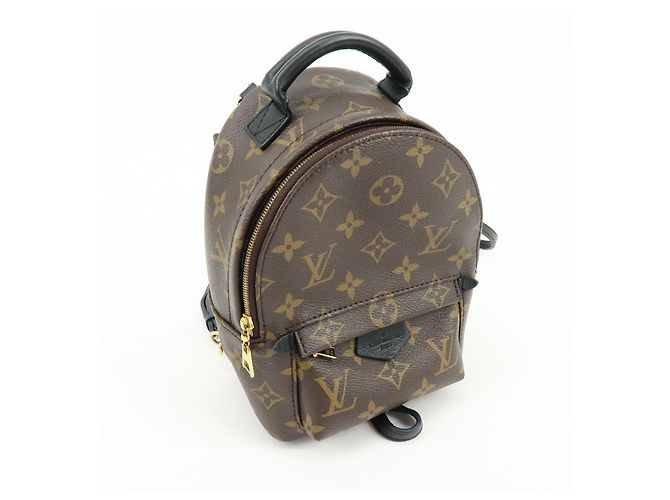 Louis Vuitton Palm Springs Monogram Canvas Mini - vista 4