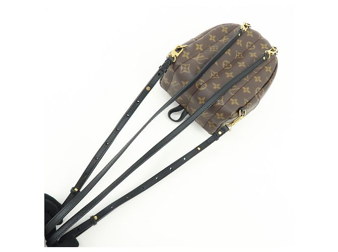 Louis Vuitton Palm Springs Monogram Canvas Mini - vista 7