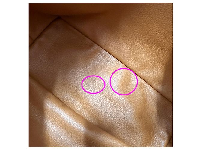 Borsa Goyard Ange Mini - vista 11