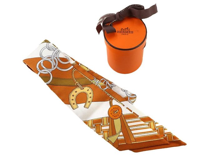 Hermès Hermes Twilly Schal Multi-color - Ansicht 2