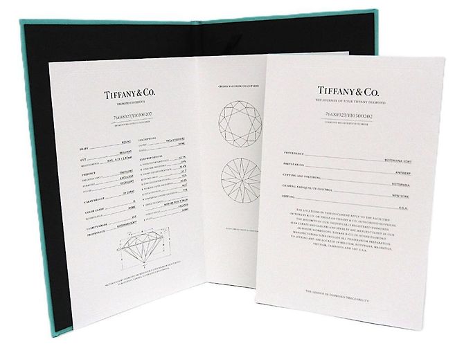 Autre Marque Tiffany Diamant-Solitärring aus Platin - Ansicht 10