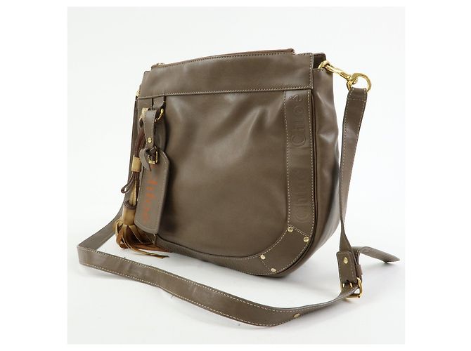 Chloé Borsa a tracolla Chloe Eden in pelle Borsa crossbody con nappe Beige - vista 3