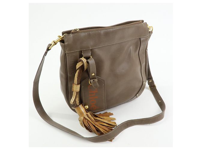 Chloé Borsa a tracolla Chloe Eden in pelle Borsa crossbody con nappe Beige - vista 4