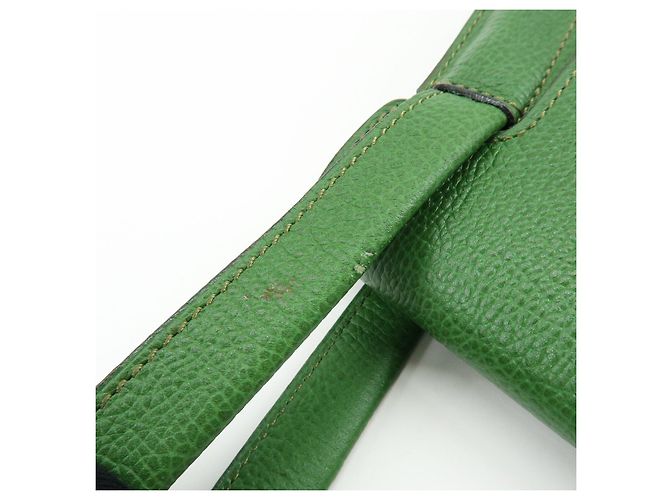 DELVAUX Borsa a spalla e borsa a mano Louise in pelle Verde - vista 10