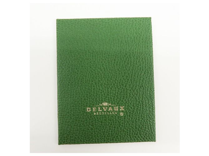 DELVAUX Borsa a spalla e borsa a mano Louise in pelle Verde - vista 23