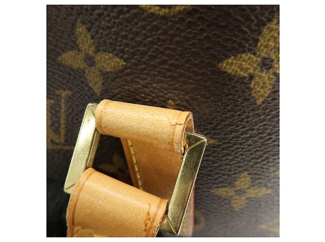 Borsa a mano Louis Vuitton Monogram Vavin GM Tote Bag Brown M51170 - vista 11