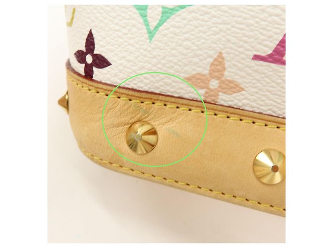 Borsa a mano Louis Vuitton Monogram Multicolor Alma PM Blanc M92647 - vista 19