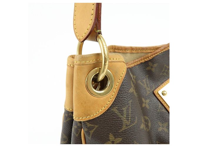 Borsa a spalla Louis Vuitton Monogram Galliera PM Brown M56382 - vista 15