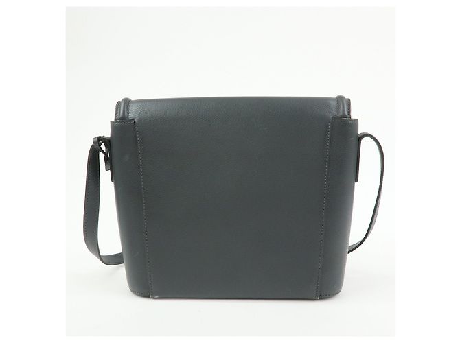 Borsa a tracolla e spalla DELVAUX in pelle di vitello Eclair Gray - vista 2