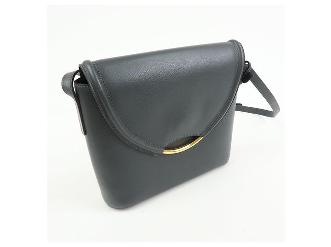 Borsa a tracolla e spalla DELVAUX in pelle di vitello Eclair Gray - vista 4