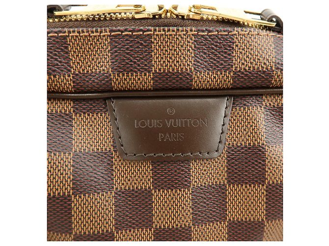 Louis Vuitton Damier Ebene Rivington PM Shoulder Hand Bag N41157 - vista 18