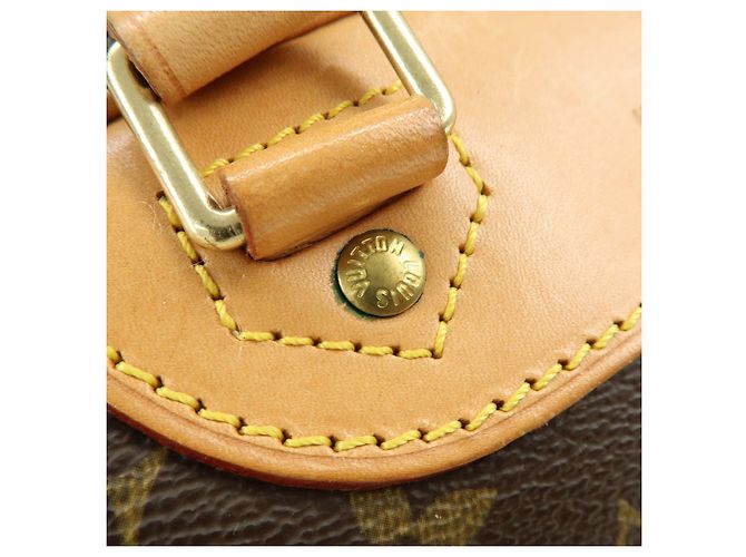 Louis Vuitton Monogram Excursion Shoes Case Hand Bag M41450 - vista 10