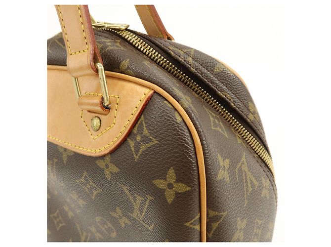 Louis Vuitton Monogram Excursion Shoes Case Hand Bag M41450 - vista 14