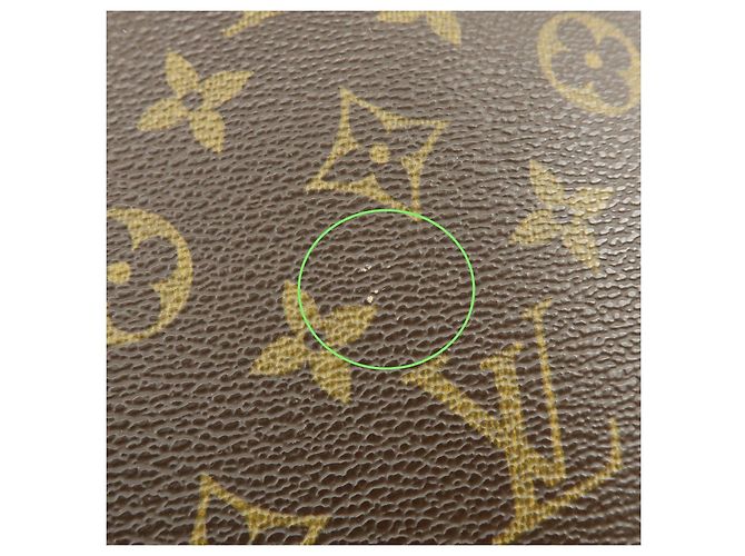 Louis Vuitton Monogram Excursion Shoes Case Hand Bag M41450 - vista 18