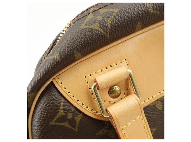 Louis Vuitton Monogram Excursion Shoes Case Hand Bag M41450 - vista 19