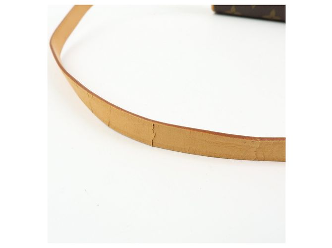 Louis Vuitton Monogram Pochette Florentine Waist Bag Belt S M51855 - vista 7