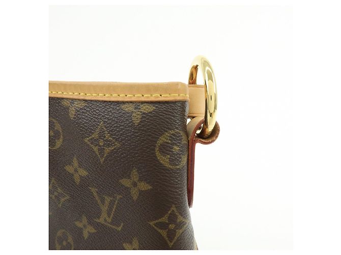 Borsa a tracolla Louis Vuitton Monogram Delightful PM Brown M40352 - vista 17
