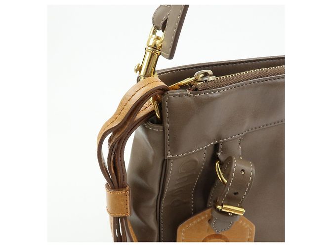 Chloé Borsa a tracolla Chloe Eden in pelle Marrone - vista 12