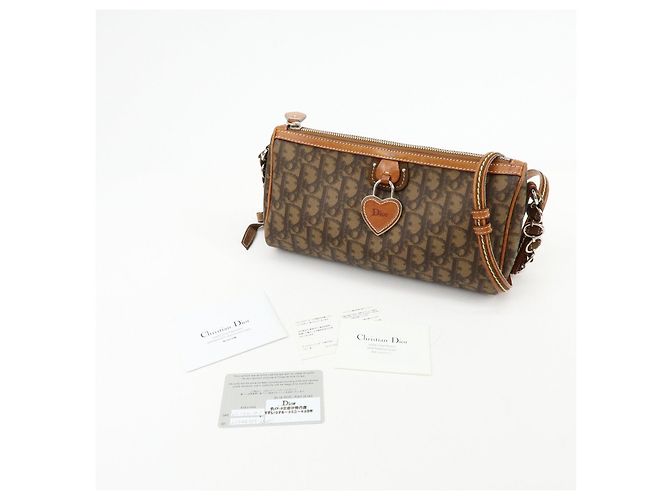 Borsa a tracolla Christian Dior Romantic Trotter in PVC e pelle Marrone - vista 24