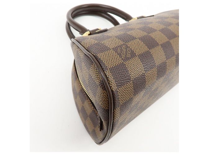 Borsa a mano Louis Vuitton Damier Ebene Rivera Mini Brown N41436 - vista 11