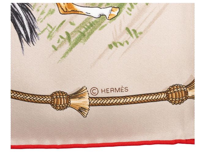 Hermès Hermes Carre 70 Pampa Tuch - Ansicht 5