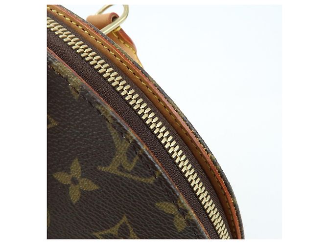 Borsa a mano Louis Vuitton Monogram Ellipse PM Brown M51127 - vista 18