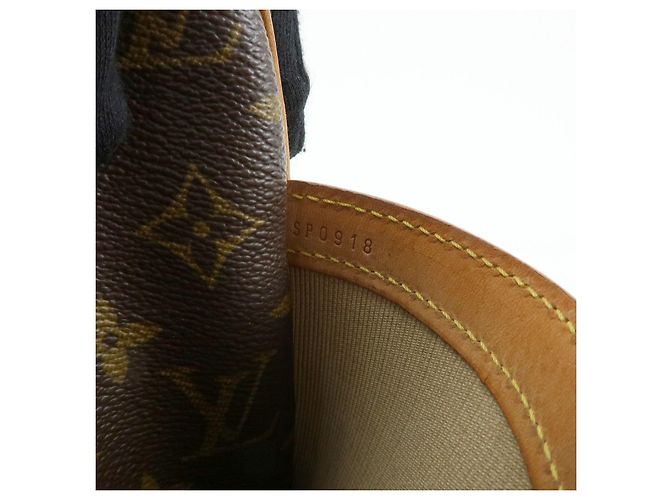 Louis Vuitton Monogram Reporter PM Shoulder Crossbody Bag Brown M45254 - vista 24