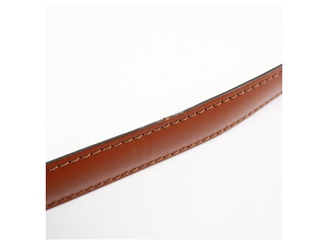 Saint-Cloud Borsa a tracolla Louis Vuitton Epi Saint Cloud Kenya Brown M52193 - vista 8